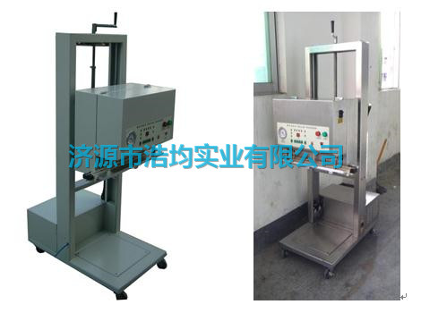 立式外抽真空包裝機(jī) FVS-600L